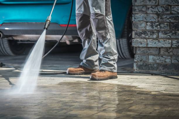 Best Restaurant Pressure Washing  in Circle Pines, MN